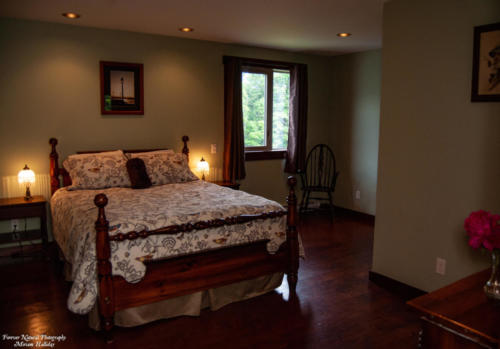 Spacious master bedroom with walk-in closet on main floor